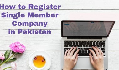 Single Member Company