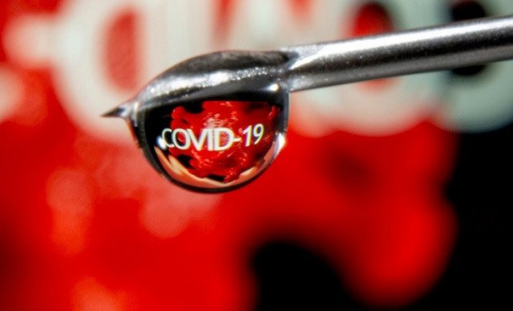 Delta Covid variant now dominant strain worldwide, US deaths surge -officials