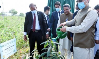 Massive scale tree plantation in capital